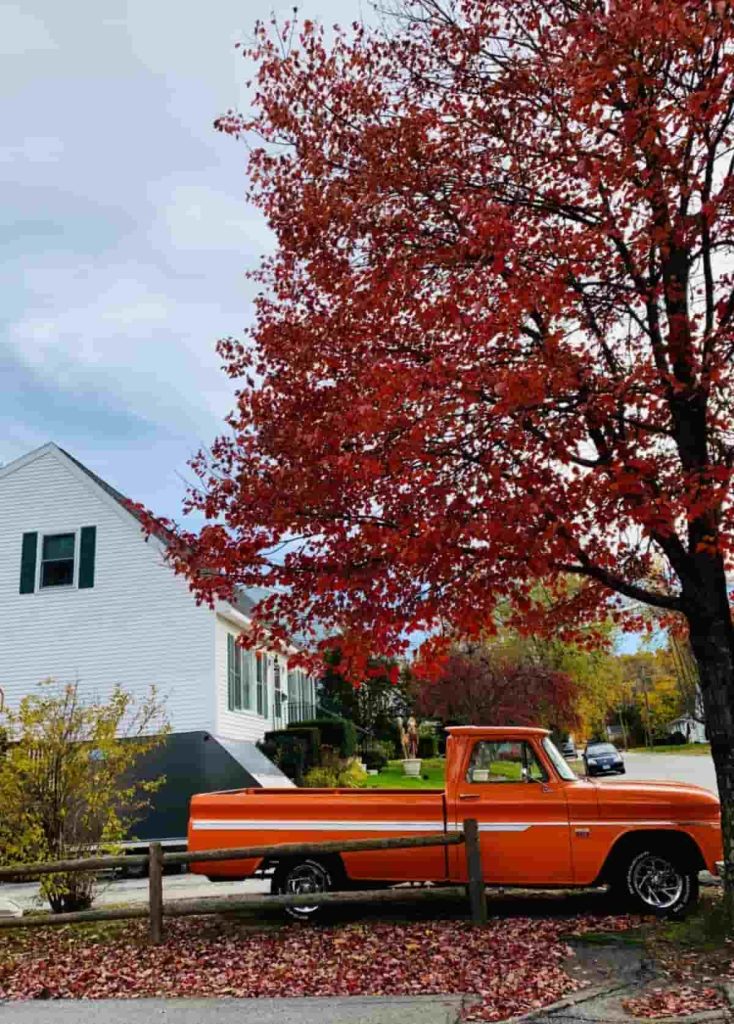 Orange Truck